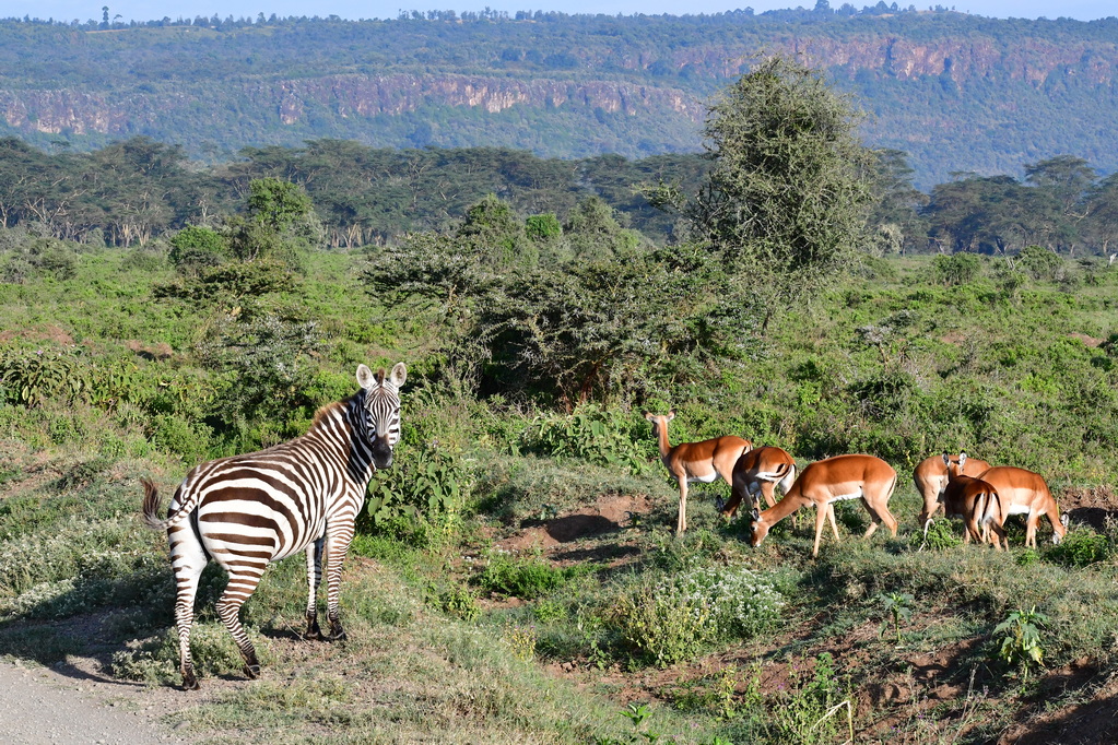 Lake Nakuru N.P.